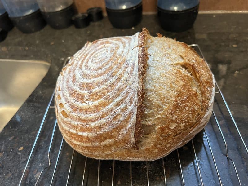 Jalapeño cheddar sourdough loaf from The Living Loaf bakery in Post Falls, Idaho